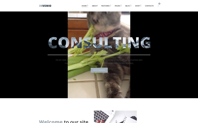 Invenio - классная тема WordPress для финансового консультанта