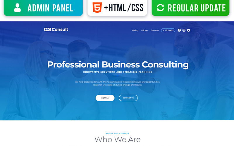 Pro Consult - Plantilla de página de destino de MotoCMS 3 para empresas