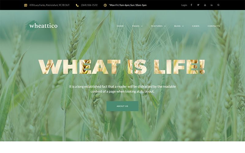 Wheattico - адаптивна тема WordPress на фермах сільськогосподарських культур