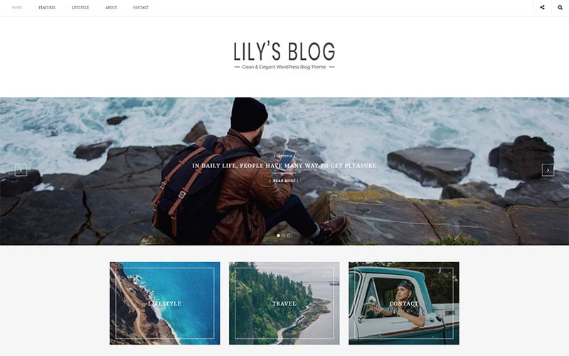 Lily - Sauberes und elegantes Blog-WordPress-Theme