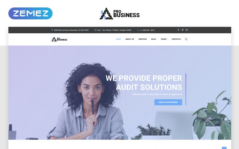 proBusiness - Elegant Audit Company Multipage HTML Web Sitesi Şablonu