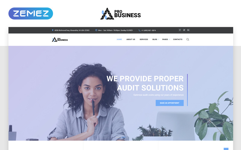 proBusiness - Modèle de site Web HTML multipage de société d'audit élégante