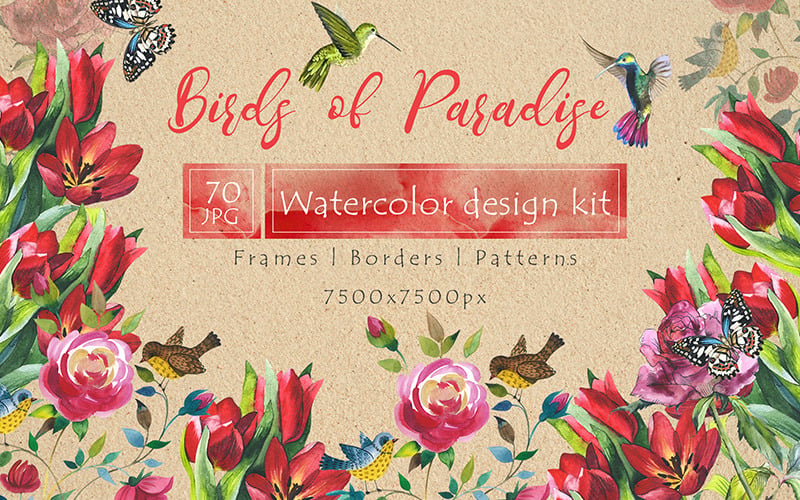 Aves del paraíso JPG Acuarela - Ilustración