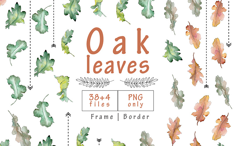 Download Иллюстрация "Oak Leaves PNG Watercolor Set - Illustration" / Oak Leaves PNG Watercolor Set - Illustration - Иллюстрация на тему графика leaf plant forest deciduous foliage sprout stem botanical garden floral green oak watercolor illustration drawing background colorful autumn tattoo ink;