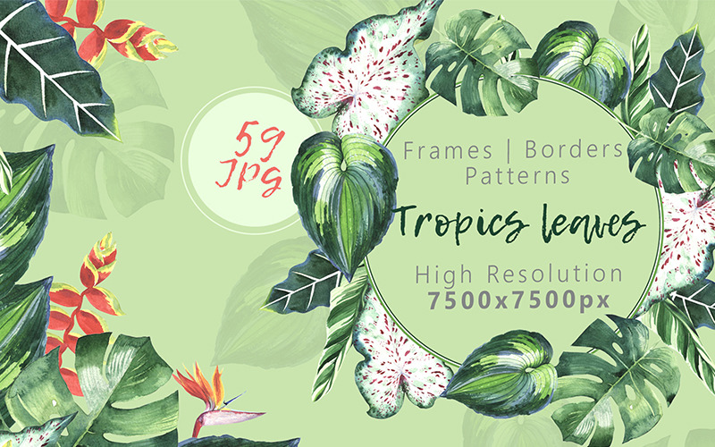 Download Бандл иллюстраций тропических листьев Jpg / Tropics Leaves JPG Watercolor Set - Illustration - Иллюстрация на тему графика watercolor tropic illustration delicate drawing background textile colorful green rosa leaves drawn paint leaf plant tropical seasonal deciduous foliage flower