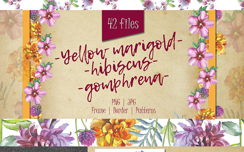 Download Иллюстрация "Wildflower PNG Watercolor Set - Illustration" / Wildflower PNG Watercolor Set - Illustration - Иллюстрация на тему графика watercolor illustration yellow marigold hibiscus gomphrena drawing background textile colorful fashion drawn vintage paint leaf plant seasonal deciduous foliage flower