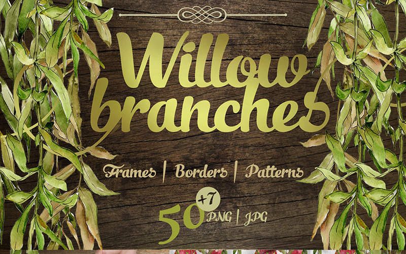 Willow Branches - JPG Watercolor - Illustration