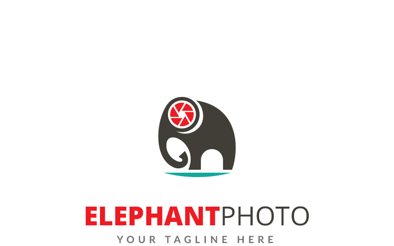 大象照片徽标模板