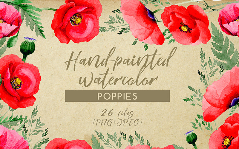 Download Иллюстрация "Hand-painted Poppies PNG Watercolor Set - Illustration" / Hand-painted Poppies PNG Watercolor Set - Illustration - Иллюстрация на тему графика watercolor illustration delicate red drawing background textile colorful drawn paint leaf plant wildflower seasonal poppy foliage flower sprout stem summer