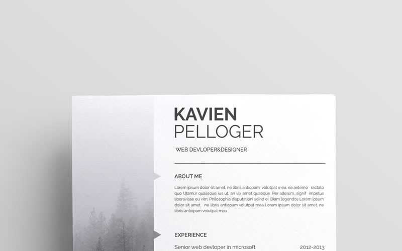 Modèle de CV Kavien Pelloger-cv