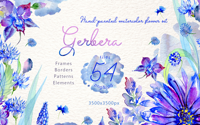 Download Иллюстрация "Blue Gerbera PNG Watercolor Flower Set - Illustration" / Blue Gerbera PNG Watercolor Flower Set - Illustration - Иллюстрация на тему графика watercolor illustration delicate drawing background textile colorful drawn paint blue plant wildflower seasonal foliage flower sprout stem png gerbera botanical