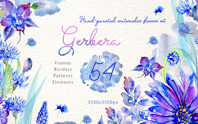 Sada květin Gerbera modrá akvarel PNG - ilustrace
