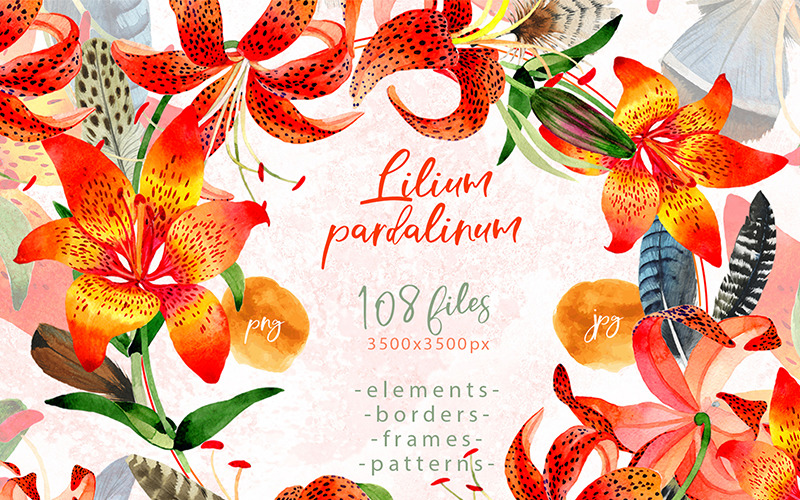 Download Иллюстрация "Lilium Pardalinum PNG Watercolor Set - Illustration" / Lilium Pardalinum PNG Watercolor Set - Illustration - Иллюстрация на тему графика watercolor illustration delicate drawing background textile colorful drawn paint fether plant orange wildflower seasonal lilium pardalinum foliage flower sprout stem