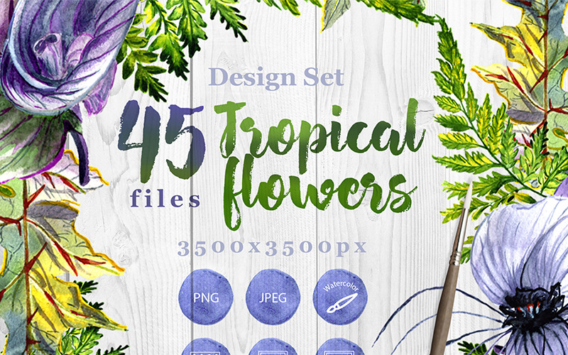Tropische bloemen PNG aquarel Set - illustratie
