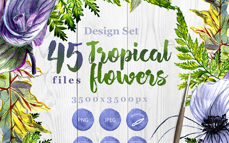 Download Иллюстрация "Tropical Flowers PNG Watercolor Set - Illustration" / Tropical Flowers PNG Watercolor Set - Illustration - Иллюстрация на тему графика watercolor illustration delicate tropical drawing background textile colorful drawn paint leaf plant wildflower seasonal foliage flower tropic sprout stem purple