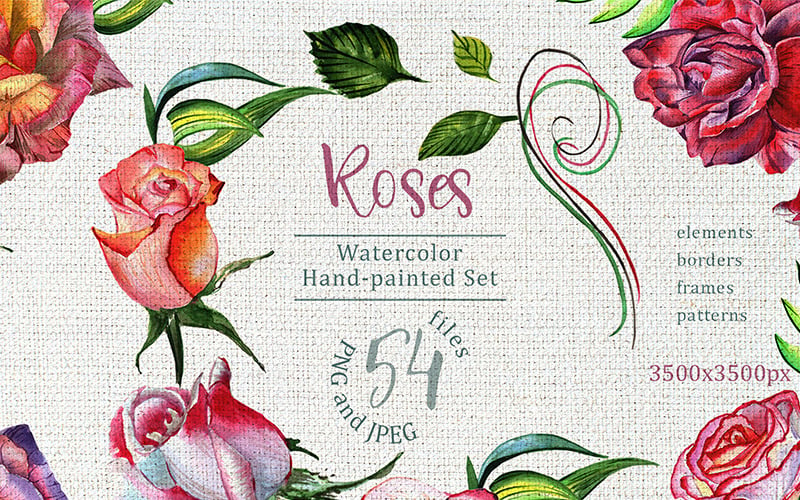 Wonderful Roses PNG Watercolor Flower Set - Illustration