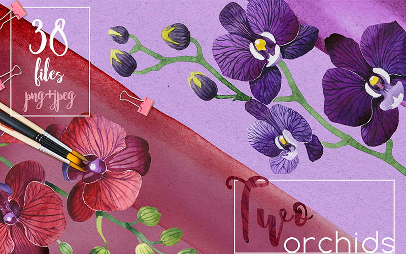 Dos orquídeas PNG Aquarelle Set - Ilustración