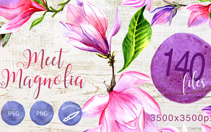Meet Magnolia PNG Watercolor Flower Set - Illustration