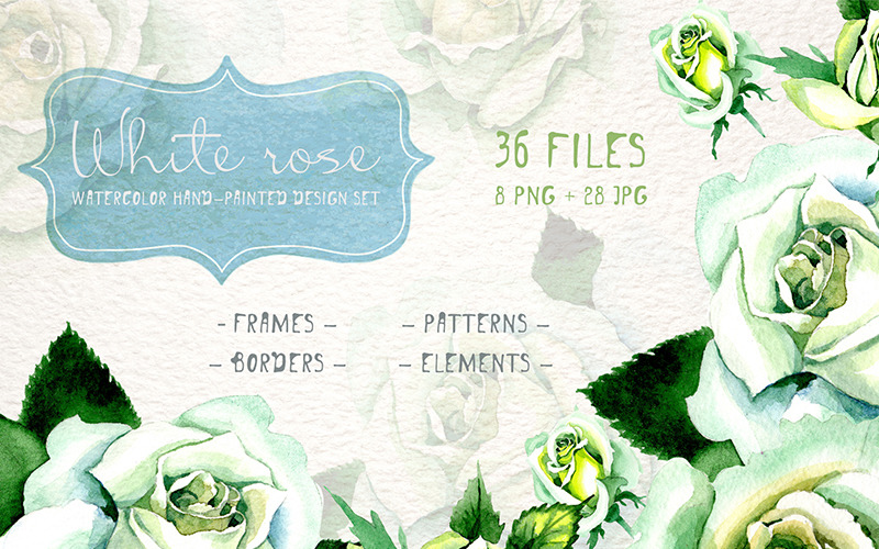 Download Иллюстрация "White Rose Watercolor PNG Flower Set - Illustration" / White Rose Watercolor PNG Flower Set - Illustration - Иллюстрация на тему графика watercolor illustration delicate drawing background textile colorful drawn paint white rose plant wildflower seasonal foliage flower sprout stem botanical garden