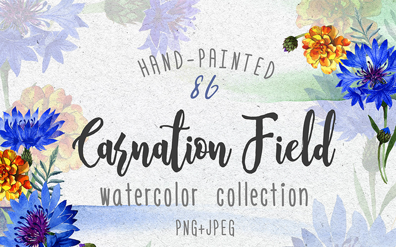 Carnation field PNG watercolor set - Illustration