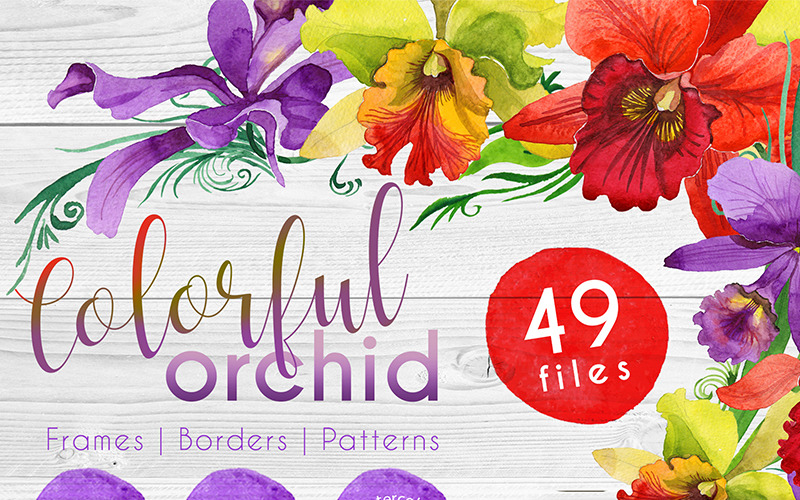 Colorful Orchid PNG Watercolor Set - Illustration