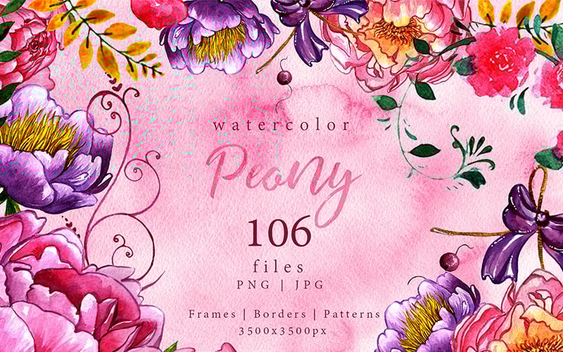 Exquisitas peonías PNG Conjunto de flores de acuarela - Ilustración