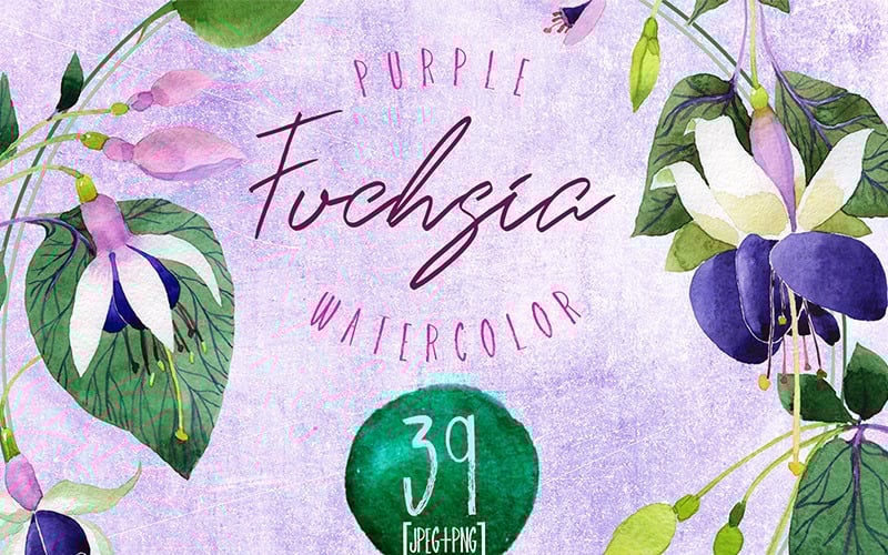 Download Иллюстрация "Purple Fuchsia PNG Watercolor Flower Set - Illustration" / Purple Fuchsia PNG Watercolor Flower Set - Illustration - Иллюстрация на тему графика watercolor illustration purple fuchsia drawing background colorful drawn paint leaf plant wildflower seasonal foliage flower sprout stem textile botanical garden