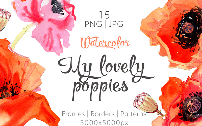 我可爱的罂粟花-PNG水彩画-插图