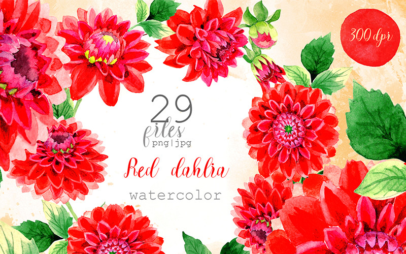 Gyönyörű piros Dahlia PNG akvarell készlet - illusztráció
