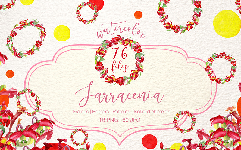 Download Иллюстрация "Cool Red Sarracenia PNG Watercolor Set - Illustration" / Cool Red Sarracenia PNG Watercolor Set - Illustration - Иллюстрация на тему графика watercolor illustration drawing background colorful drawn paint leaf plant wildflower seasonal foliage flower red sarracenia sprout stem textile botanical garden