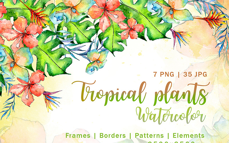 Download Иллюстрация "Tropical Plant PNG Watercolor Set - Illustration" / Tropical Plant PNG Watercolor Set - Illustration - Иллюстрация на тему графика watercolor illustration drawing background tropical tropic hawaii summer plant leaf leaves floral palm beach tree hawaiian succulent exotic jungle botanical
