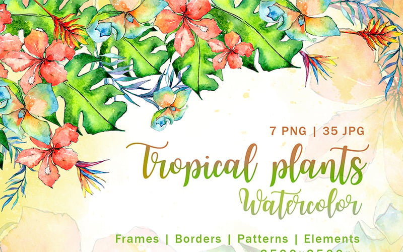 Tropische Pflanze PNG Aquarell Set - Illustration