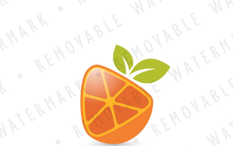 Citrus Fruit Media Logo Vorlage