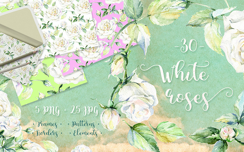 Download Иллюстрация "Delicate White Roses PNG Watercolor Set - Illustration" / Delicate White Roses PNG Watercolor Set - Illustration - Иллюстрация на тему графика watercolor rose illustration delicate drawing white background colorful drawn paint leaf plant wildflower seasonal foliage flower rosa sprout stem textile