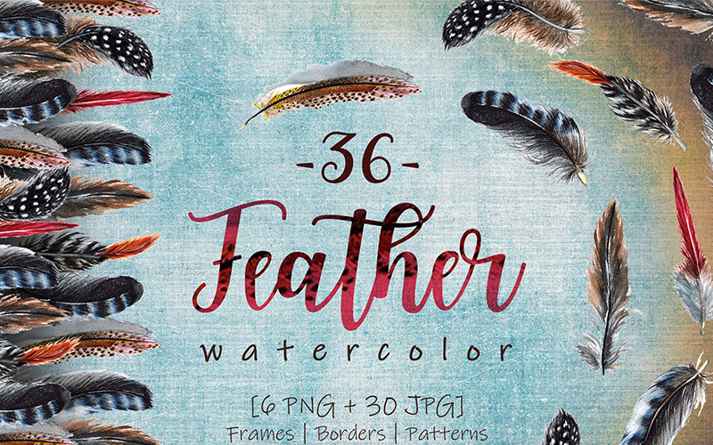 Delightful Feathers PNG akwarela zestaw - ilustracja