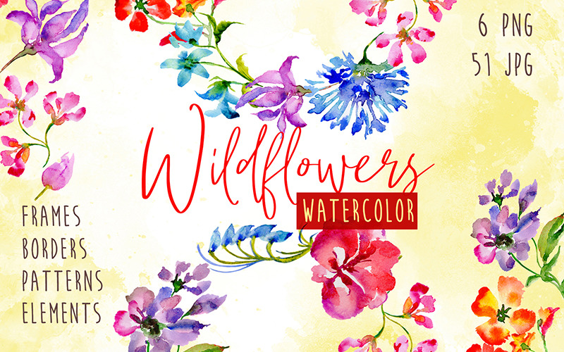 Vadvirágok akvarell PNG készlet - illusztráció