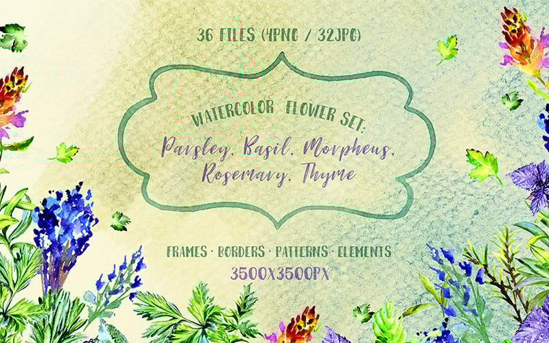 Download Иллюстрация "Bouquet of Herbs PNG Watercolor Set - Illustration" / Bouquet of Herbs PNG Watercolor Set - Illustration - Иллюстрация на тему графика watercolor illustration bouquet herbs parsley basil morpheus rosemary thyme drawing background colorful drawn paint leaf plant wildflower seasonal foliage sprout