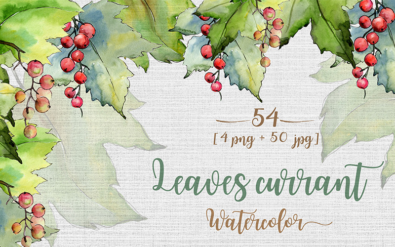 Download Иллюстрация "Leaves Currant PNG Watercolor Set - Illustration" / Leaves Currant PNG Watercolor Set - Illustration - Иллюстрация на тему графика watercolor illustration drawing background colorful drawn paint leaf plant foliage leaves tree stem botanical garden floral branch png