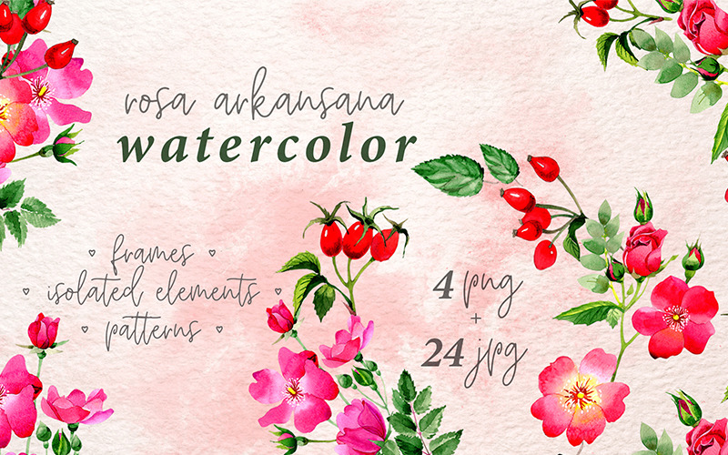 Download Иллюстрация "Rosa Arkansana PNG Watercolor Set Creative - Illustration" / Rosa Arkansana PNG Watercolor Set Creative - Illustration - Иллюстрация на тему графика watercolor illustration delicate rosa arkansana drawing red pink background colorful drawn paint leaf plant wildflower seasonal foliage flower sprout stem