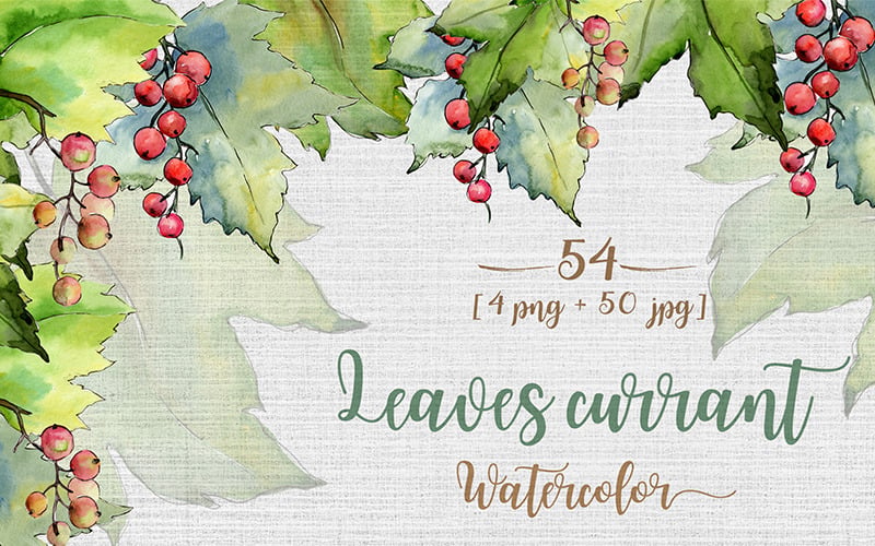 Foglie Ribes PNG Acquerello Set - Illustrazione