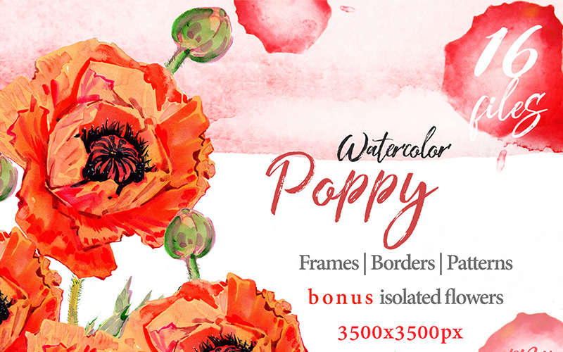 Download Иллюстрация "Watercolor Red Poppy PNG Set - Illustration" / Watercolor Red Poppy PNG Set - Illustration - Иллюстрация на тему графика watercolor illustration red drawing background poppy colorful drawn paint leaf plant wildflower seasonal foliage flower sprout stem textile botanical garden