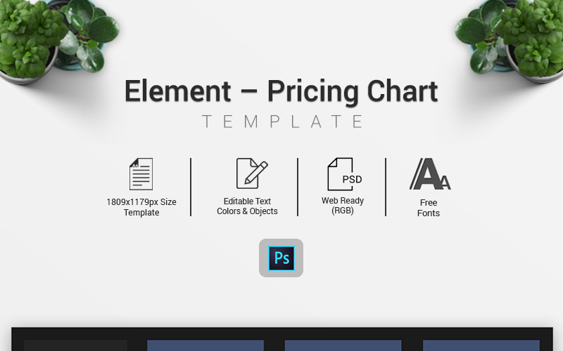 Элемент - Инфографика с таблицей цен