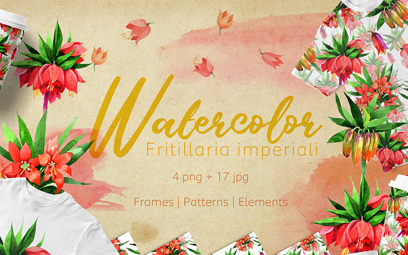 Download Иллюстрация "Fritillaria Imperiali - PNG Watercolor Flower - Illustration" / Fritillaria Imperiali - PNG Watercolor Flower - Illustration - Иллюстрация на тему графика watercolor illustration delicate drawing red fritillaria imperiali background colorful drawn paint leaf plant wildflower seasonal foliage flower summer sprout tropic