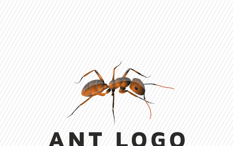 Ant Logo sjabloon