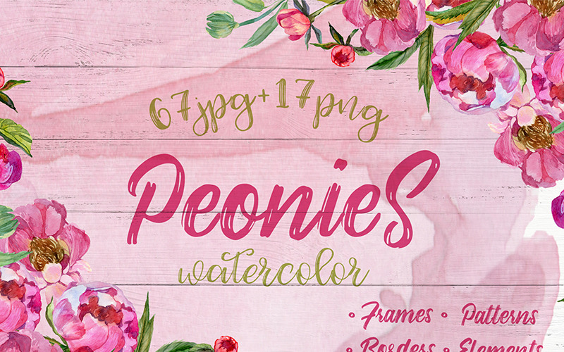 Download Иллюстрация "Cool Peonies PNG Watercolor Flowers Set - Illustration" / Cool Peonies PNG Watercolor Flowers Set - Illustration - Иллюстрация на тему графика watercolor illustration delicate cool peonies pink color drawing background colorful drawn paint leaf plant wildflower seasonal foliage flower sprout peony