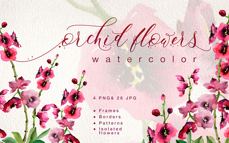 Pink Orchid Flowers PNG Watercolor Set - Illustration