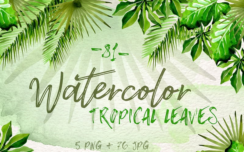 Akvarell tropiska blad PNG Set - Illustration