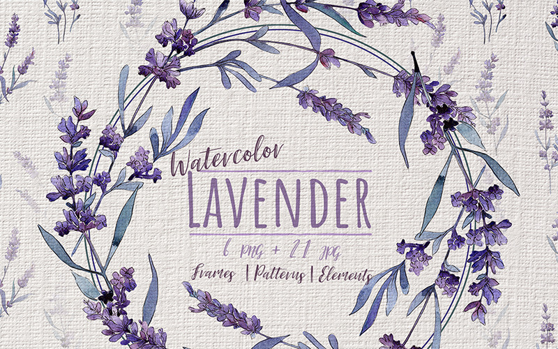 Prachtige Violet lavendel PNG aquarel Set - illustratie