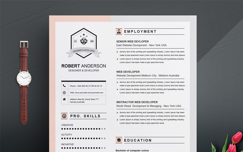 Download Резюме "Professional Resume Template" / Professional Resume Template - Резюме на тему графика 3 page resume creative border clean simple 2page cv template ms word doc docx
