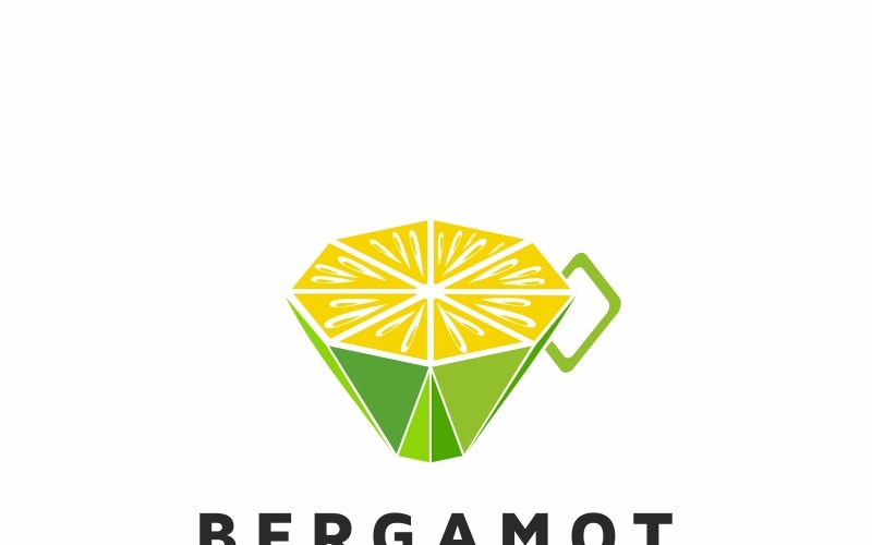 Download Шаблон логотипа "Bergamot Logo Template" / Bergamot Logo Template - Шаблон логотипа на тему графика food fresh fruit green lime orange zest